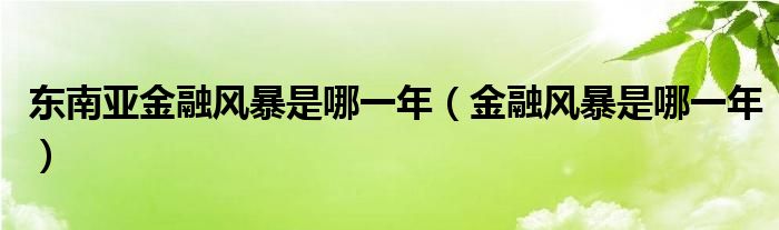 东南亚金融风暴是哪一年（金融风暴是哪一年）