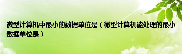 微型计算机中最小的数据单位是（微型计算机能处理的最小数据单位是）