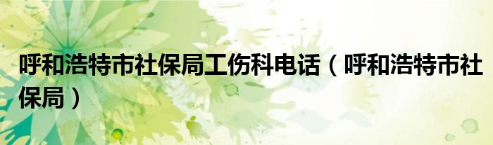 呼和浩特市社保局工伤科电话（呼和浩特市社保局）