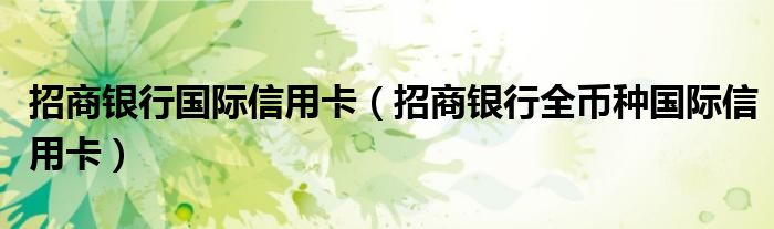 招商银行国际信用卡（招商银行全币种国际信用卡）