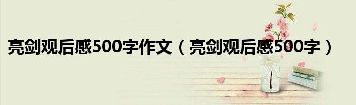 亮剑观后感500字作文（亮剑观后感500字）