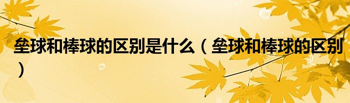 垒球和棒球的区别是什么（垒球和棒球的区别）