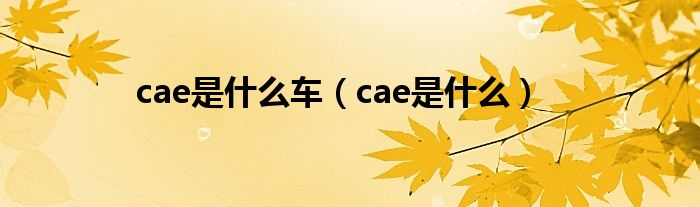 cae是什么车（cae是什么）