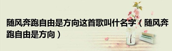 随风奔跑自由是方向这首歌叫什名字（随风奔跑自由是方向）