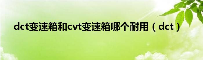 dct变速箱和cvt变速箱哪个耐用（dct）
