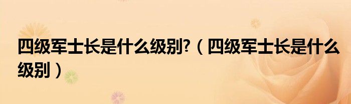 四级军士长是什么级别?（四级军士长是什么级别）