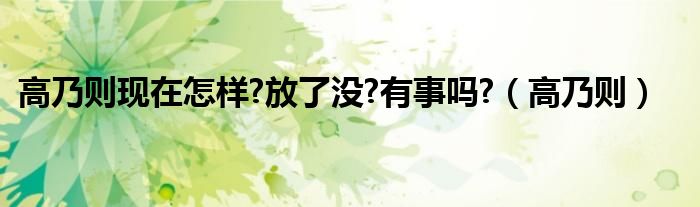 高乃则现在怎样?放了没?有事吗?（高乃则）