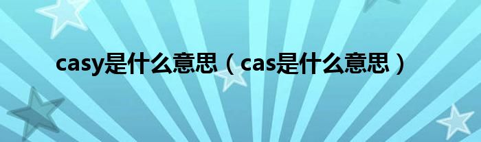 casy是什么意思（cas是什么意思）