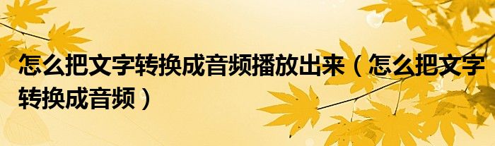 怎么把文字转换成音频播放出来（怎么把文字转换成音频）