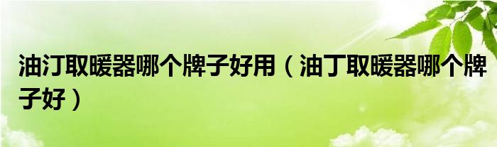 油汀取暖器哪个牌子好用（油丁取暖器哪个牌子好）