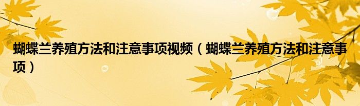 蝴蝶兰养殖方法和注意事项视频（蝴蝶兰养殖方法和注意事项）