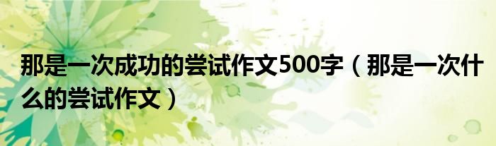 那是一次成功的尝试作文500字（那是一次什么的尝试作文）