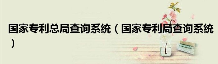国家专利总局查询系统（国家专利局查询系统）