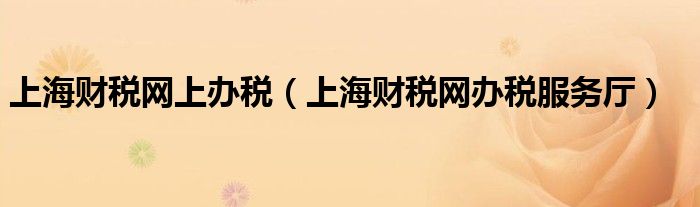 上海财税网上办税（上海财税网办税服务厅）