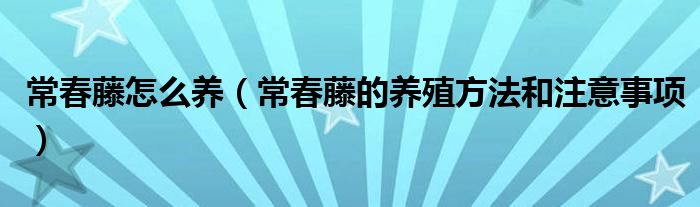 常春藤怎么养（常春藤的养殖方法和注意事项）