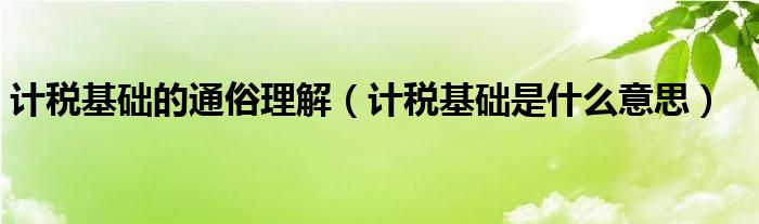 计税基础的通俗理解（计税基础是什么意思）