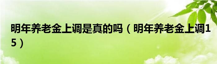 明年养老金上调是真的吗（明年养老金上调15）