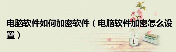 电脑软件如何加密软件（电脑软件加密怎么设置）
