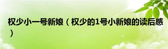 权少小一号新娘（权少的1号小新娘的读后感）