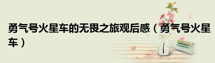 勇气号火星车的无畏之旅观后感（勇气号火星车）