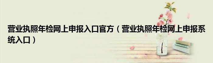 营业执照年检网上申报入口官方（营业执照年检网上申报系统入口）