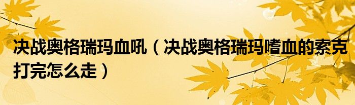 决战奥格瑞玛血吼（决战奥格瑞玛嗜血的索克打完怎么走）