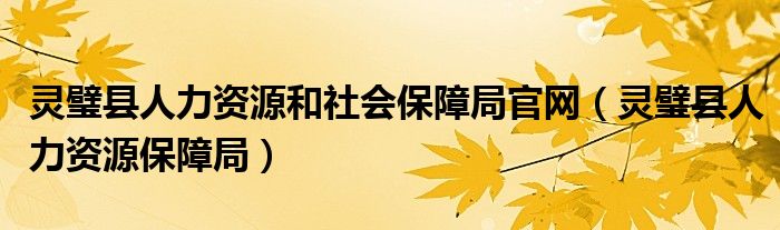 灵璧县人力资源和社会保障局官网（灵璧县人力资源保障局）