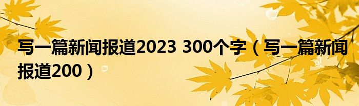 写一篇新闻报道2023 300个字（写一篇新闻报道200）