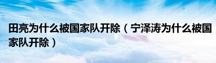 田亮为什么被国家队开除（宁泽涛为什么被国家队开除）