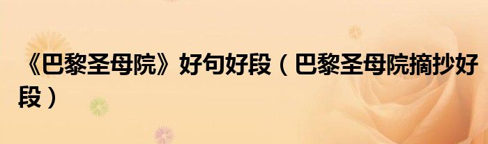 《巴黎圣母院》好句好段（巴黎圣母院摘抄好段）
