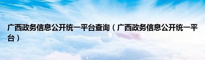 广西政务信息公开统一平台查询（广西政务信息公开统一平台）