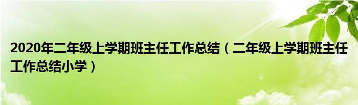 2020年二年级上学期班主任工作总结（二年级上学期班主任工作总结小学）