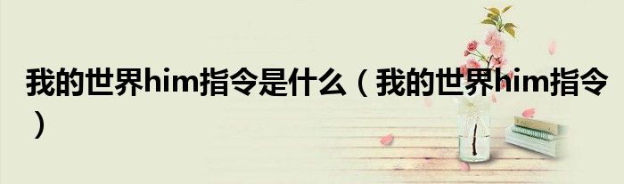 我的世界him指令是什么（我的世界him指令）
