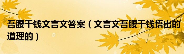 吾腰千钱文言文答案（文言文吾腰千钱悟出的道理的）