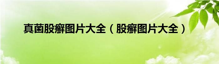 真菌股癣图片大全（股癣图片大全）