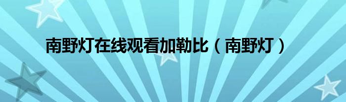 南野灯在线观看加勒比（南野灯）
