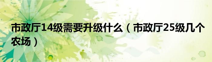 市政厅14级需要升级什么（市政厅25级几个农场）