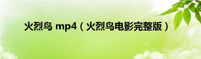 火烈鸟 mp4（火烈鸟电影完整版）