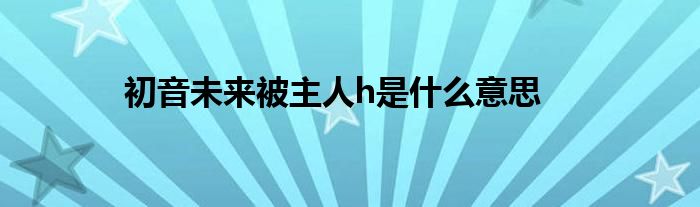 初音未来被主人h是什么意思