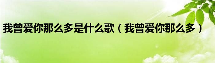 我曾爱你那么多是什么歌（我曾爱你那么多）