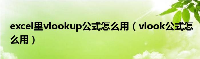 excel里vlookup公式怎么用（vlook公式怎么用）