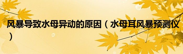 风暴导致水母异动的原因（水母耳风暴预测仪）