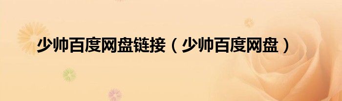 少帅百度网盘链接（少帅百度网盘）
