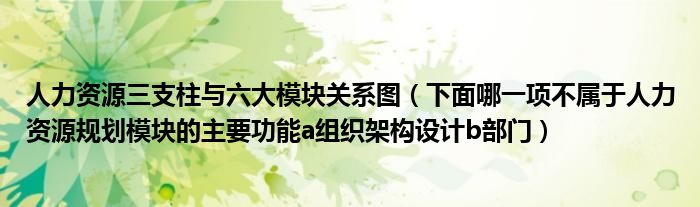 人力资源三支柱与六大模块关系图（下面哪一项不属于人力资源规划模块的主要功能a组织架构设计b部门）