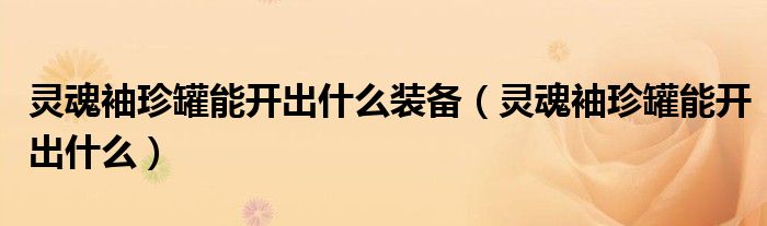 灵魂袖珍罐能开出什么装备（灵魂袖珍罐能开出什么）