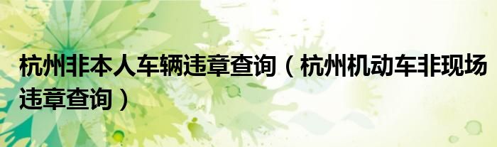 杭州非本人车辆违章查询（杭州机动车非现场违章查询）