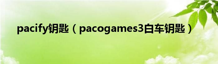 pacify钥匙（pacogames3白车钥匙）