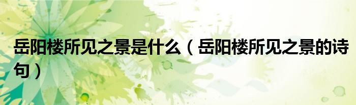 岳阳楼所见之景是什么（岳阳楼所见之景的诗句）