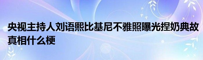 央视主持人刘语熙比基尼不雅照曝光捏奶典故真相什么梗