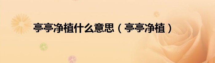 亭亭净植什么意思（亭亭净植）